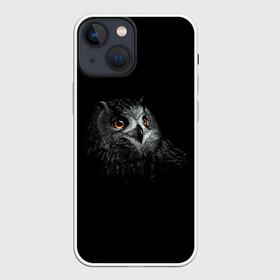 Чехол для iPhone 13 mini с принтом Сова в Екатеринбурге,  |  | голова совы | звери | сова.птицы | совы