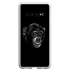 Чехол для Samsung Galaxy S10 с принтом Обезьяна в Екатеринбурге, Силикон | Область печати: задняя сторона чехла, без боковых панелей | животные | обезьяна | обезьяны | приматы | шимпанзе