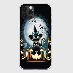 Чехол для iPhone 12 Pro Max с принтом Хэллоуин Кот в Екатеринбурге, Силикон |  | Тематика изображения на принте: 2020 | cat | cats | halloween | джек | киса | кисуля | кот | котик | коты | кошечка | ленивец | мяу | октябрь | панда | призрак | призраки | собака | тыква | хеллоуин | хелоуин | хэллоуин | хэлоуин | черный кот | щеночек