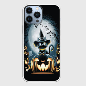 Чехол для iPhone 13 Pro Max с принтом Хэллоуин Кот в Екатеринбурге,  |  | 2020 | cat | cats | halloween | джек | киса | кисуля | кот | котик | коты | кошечка | ленивец | мяу | октябрь | панда | призрак | призраки | собака | тыква | хеллоуин | хелоуин | хэллоуин | хэлоуин | черный кот | щеночек