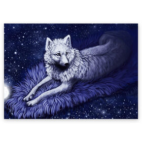 Поздравительная открытка с принтом Белый Волк в Екатеринбурге, 100% бумага | плотность бумаги 280 г/м2, матовая, на обратной стороне линовка и место для марки
 | wolf | волк | волки | волчица | животные | одинокий волк