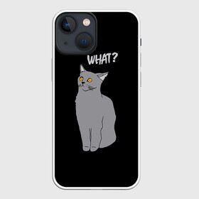 Чехол для iPhone 13 mini с принтом What cat в Екатеринбурге,  |  | Тематика изображения на принте: cat | kitten | kitty | what кот | британская кошка | британский кот | в смысле | взгляд | вопрос | вопросительный знак | глаза кота | животные | кот мем | котенок | котик | котята | кошак | кошка | мемы