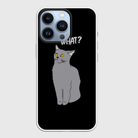 Чехол для iPhone 13 Pro с принтом What cat в Екатеринбурге,  |  | Тематика изображения на принте: cat | kitten | kitty | what кот | британская кошка | британский кот | в смысле | взгляд | вопрос | вопросительный знак | глаза кота | животные | кот мем | котенок | котик | котята | кошак | кошка | мемы