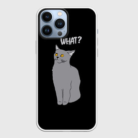 Чехол для iPhone 13 Pro Max с принтом What cat в Екатеринбурге,  |  | Тематика изображения на принте: cat | kitten | kitty | what кот | британская кошка | британский кот | в смысле | взгляд | вопрос | вопросительный знак | глаза кота | животные | кот мем | котенок | котик | котята | кошак | кошка | мемы