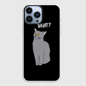 Чехол для iPhone 13 Pro Max с принтом What cat в Екатеринбурге,  |  | cat | kitten | kitty | what кот | британская кошка | британский кот | в смысле | взгляд | вопрос | вопросительный знак | глаза кота | животные | кот мем | котенок | котик | котята | кошак | кошка | мемы