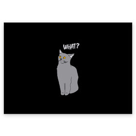 Поздравительная открытка с принтом What cat в Екатеринбурге, 100% бумага | плотность бумаги 280 г/м2, матовая, на обратной стороне линовка и место для марки
 | Тематика изображения на принте: cat | kitten | kitty | what кот | британская кошка | британский кот | в смысле | взгляд | вопрос | вопросительный знак | глаза кота | животные | кот мем | котенок | котик | котята | кошак | кошка | мемы