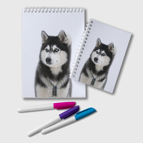 Блокнот с принтом ХАСКИ в Екатеринбурге, 100% бумага | 48 листов, плотность листов — 60 г/м2, плотность картонной обложки — 250 г/м2. Листы скреплены удобной пружинной спиралью. Цвет линий — светло-серый
 | Тематика изображения на принте: dog | husky | милый | пес | песик | собака | собачка | хаски | щенок
