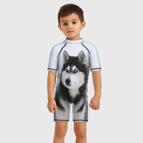 Детский купальный костюм 3D с принтом ХАСКИ в Екатеринбурге, Полиэстер 85%, Спандекс 15% | застежка на молнии на спине | dog | husky | милый | пес | песик | собака | собачка | хаски | щенок