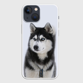 Чехол для iPhone 13 mini с принтом ХАСКИ в Екатеринбурге,  |  | dog | husky | милый | пес | песик | собака | собачка | хаски | щенок