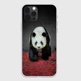 Чехол для iPhone 12 Pro Max с принтом ПАНДА в Екатеринбурге, Силикон |  | panda | большая | в зоопарке | забавная | медведь | милая | панда | пандочка