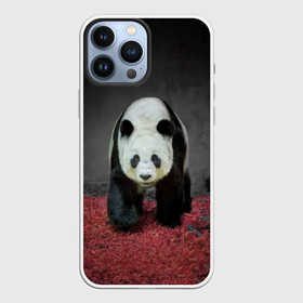 Чехол для iPhone 13 Pro Max с принтом ПАНДА в Екатеринбурге,  |  | Тематика изображения на принте: panda | большая | в зоопарке | забавная | медведь | милая | панда | пандочка