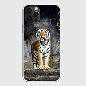 Чехол для iPhone 12 Pro Max с принтом ТИГР В ЛЕСУ в Екатеринбурге, Силикон |  | tiger | амурский | бенгальский | в зоопарке | в лесу | дикий | кошка | крупная | полосатый | тигр | тигренок | тигрица