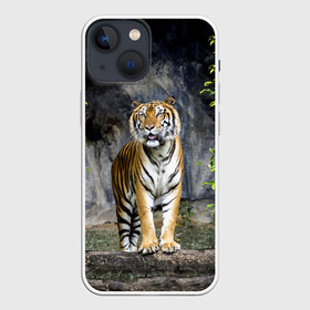 Чехол для iPhone 13 mini с принтом ТИГР В ЛЕСУ в Екатеринбурге,  |  | Тематика изображения на принте: tiger | амурский | бенгальский | в зоопарке | в лесу | дикий | кошка | крупная | полосатый | тигр | тигренок | тигрица