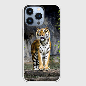 Чехол для iPhone 13 Pro с принтом ТИГР В ЛЕСУ в Екатеринбурге,  |  | tiger | амурский | бенгальский | в зоопарке | в лесу | дикий | кошка | крупная | полосатый | тигр | тигренок | тигрица