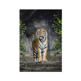 Обложка для паспорта матовая кожа с принтом ТИГР В ЛЕСУ в Екатеринбурге, натуральная матовая кожа | размер 19,3 х 13,7 см; прозрачные пластиковые крепления | Тематика изображения на принте: tiger | амурский | бенгальский | в зоопарке | в лесу | дикий | кошка | крупная | полосатый | тигр | тигренок | тигрица