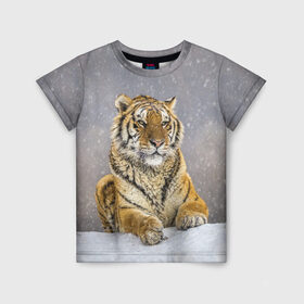 Детская футболка 3D с принтом ТИГР ЗИМОЙ в Екатеринбурге, 100% гипоаллергенный полиэфир | прямой крой, круглый вырез горловины, длина до линии бедер, чуть спущенное плечо, ткань немного тянется | Тематика изображения на принте: tiger | амурский | бенгальский | дикий | зима | зимой | кошка | крупная | полосатый | тигр | тигренок | тигрица