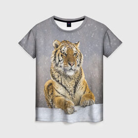 Женская футболка 3D с принтом ТИГР ЗИМОЙ в Екатеринбурге, 100% полиэфир ( синтетическое хлопкоподобное полотно) | прямой крой, круглый вырез горловины, длина до линии бедер | tiger | амурский | бенгальский | дикий | зима | зимой | кошка | крупная | полосатый | тигр | тигренок | тигрица
