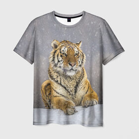 Мужская футболка 3D с принтом ТИГР ЗИМОЙ в Екатеринбурге, 100% полиэфир | прямой крой, круглый вырез горловины, длина до линии бедер | tiger | амурский | бенгальский | дикий | зима | зимой | кошка | крупная | полосатый | тигр | тигренок | тигрица