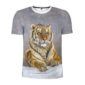 Мужская футболка 3D спортивная с принтом ТИГР ЗИМОЙ в Екатеринбурге, 100% полиэстер с улучшенными характеристиками | приталенный силуэт, круглая горловина, широкие плечи, сужается к линии бедра | tiger | амурский | бенгальский | дикий | зима | зимой | кошка | крупная | полосатый | тигр | тигренок | тигрица
