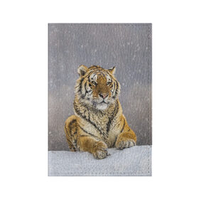 Обложка для паспорта матовая кожа с принтом ТИГР ЗИМОЙ в Екатеринбурге, натуральная матовая кожа | размер 19,3 х 13,7 см; прозрачные пластиковые крепления | tiger | амурский | бенгальский | дикий | зима | зимой | кошка | крупная | полосатый | тигр | тигренок | тигрица