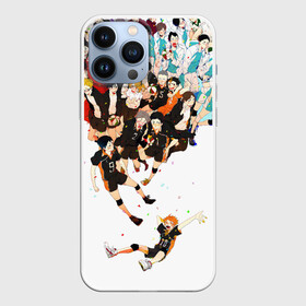 Чехол для iPhone 13 Pro Max с принтом Все герои Haikyuu в Екатеринбурге,  |  | anime | haikuu | haikyu | haikyuu | haikyy | kageyama | karasuno | nekoma | voleyball | аниме | волейбол | кагеяма | карасуно | некома | хайку | хината | шаторидзава