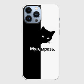 Чехол для iPhone 13 Pro Max с принтом Черный кот в Екатеринбурге,  |  | Тематика изображения на принте: буквы | глаза | кот | котик | кошка | минимал | надпись | настроение | простая надпись | текст | черно белое | черный кот | черный фон