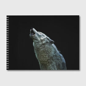 Альбом для рисования с принтом Воющий волк в Екатеринбурге, 100% бумага
 | матовая бумага, плотность 200 мг. | Тематика изображения на принте: ауф | волк | воющий волк | животное | зверь