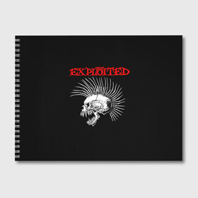 Альбом для рисования с принтом The Exploited в Екатеринбурге, 100% бумага
 | матовая бумага, плотность 200 мг. | exploited | punks | punks not dead | the exploited | панк не сдох | панки | уоти | череп | эксплоитед