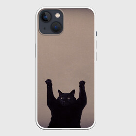 Чехол для iPhone 13 с принтом Кот сдается в Екатеринбурге,  |  | cat | арест | испуг | кот | руки вверх | черный кот