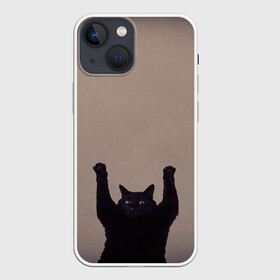 Чехол для iPhone 13 mini с принтом Кот сдается в Екатеринбурге,  |  | cat | арест | испуг | кот | руки вверх | черный кот