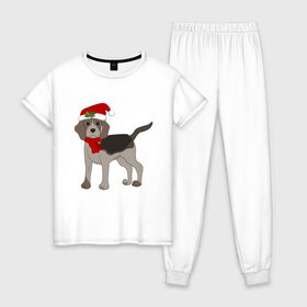 Женская пижама хлопок с принтом Новогодний Бигль в Екатеринбурге, 100% хлопок | брюки и футболка прямого кроя, без карманов, на брюках мягкая резинка на поясе и по низу штанин | 2021 | бигль | зима | зимняя собака | милый | нарядная собака | новогодний щенок | новый год | подарок | собака | собака в шапке | шарф | щенок | щенок с шарфом