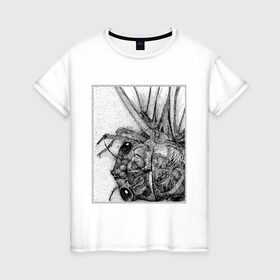 Женская футболка хлопок с принтом Цокотуха в Екатеринбурге, 100% хлопок | прямой крой, круглый вырез горловины, длина до линии бедер, слегка спущенное плечо | глаза | крылья | муха | насекомое | цокотуха