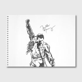 Альбом для рисования с принтом Freddie Mercury в Екатеринбурге, 100% бумага
 | матовая бумага, плотность 200 мг. | freddie mercury | queen | автограф | квин | фредди меркьюри