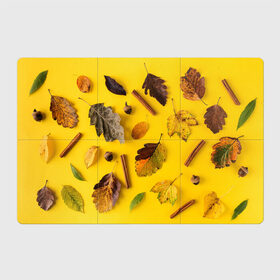 Магнитный плакат 3Х2 с принтом Гербарий в Екатеринбурге, Полимерный материал с магнитным слоем | 6 деталей размером 9*9 см | гербарий | жёлтый | листья | осень