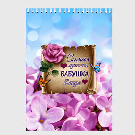 Скетчбук с принтом Лучшая Бабушка в Екатеринбурге, 100% бумага
 | 48 листов, плотность листов — 100 г/м2, плотность картонной обложки — 250 г/м2. Листы скреплены сверху удобной пружинной спиралью | love | бабочки | бабуля | бабушка | букет | день рождения | женщинам | лепестки | листья | лучшая в мире | любимая бабушка | любовь | марта | нежные цветы | подарок | природа | растения | роза | семья