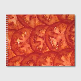Альбом для рисования с принтом Помидорки в Екатеринбурге, 100% бумага
 | матовая бумага, плотность 200 мг. | Тематика изображения на принте: арт | еда | лето | овощ | овощи | помидор | помидорки | помидоры | рисунок | томат | томаты