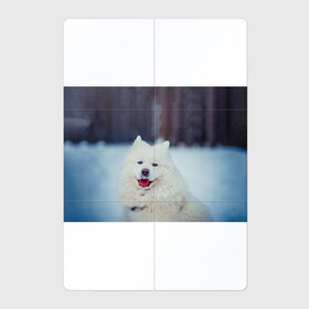 Магнитный плакат 2Х3 с принтом САМОЕД в Екатеринбурге, Полимерный материал с магнитным слоем | 6 деталей размером 9*9 см | Тематика изображения на принте: animals | dog | winter | домашние | друг | животные | звери | зима | лайка | пес | песель | природа | пушистый | самоед | собаки | собачка | хаски