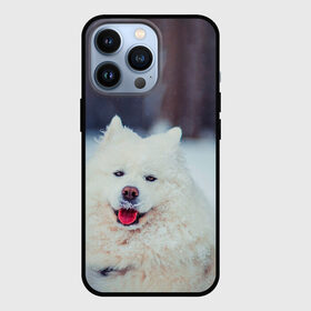 Чехол для iPhone 13 Pro с принтом САМОЕД в Екатеринбурге,  |  | Тематика изображения на принте: animals | dog | winter | домашние | друг | животные | звери | зима | лайка | пес | песель | природа | пушистый | самоед | собаки | собачка | хаски