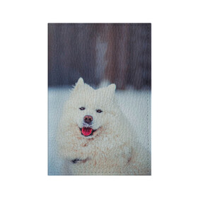 Обложка для паспорта матовая кожа с принтом САМОЕД в Екатеринбурге, натуральная матовая кожа | размер 19,3 х 13,7 см; прозрачные пластиковые крепления | Тематика изображения на принте: animals | dog | winter | домашние | друг | животные | звери | зима | лайка | пес | песель | природа | пушистый | самоед | собаки | собачка | хаски