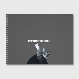 Альбом для рисования с принтом Отвернись! в Екатеринбурге, 100% бумага
 | матовая бумага, плотность 200 мг. | cat | кот | смущение