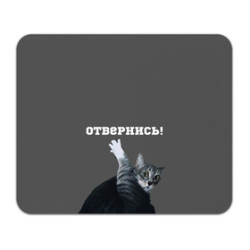 Коврик для мышки прямоугольный с принтом Отвернись! в Екатеринбурге, натуральный каучук | размер 230 х 185 мм; запечатка лицевой стороны | cat | кот | смущение