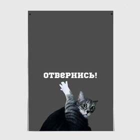 Постер с принтом Отвернись! в Екатеринбурге, 100% бумага
 | бумага, плотность 150 мг. Матовая, но за счет высокого коэффициента гладкости имеет небольшой блеск и дает на свету блики, но в отличии от глянцевой бумаги не покрыта лаком | cat | кот | смущение