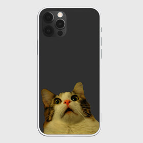 Чехол для iPhone 12 Pro Max с принтом Коте смотрит вверх в Екатеринбурге, Силикон |  | Тематика изображения на принте: cat | up | вверх | кот | подглядывание | удивление