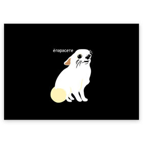 Поздравительная открытка с принтом ёпарасете в Екатеринбурге, 100% бумага | плотность бумаги 280 г/м2, матовая, на обратной стороне линовка и место для марки
 | baby | dog | emoji | lol | what | белая собака | в смысле | взгляд | глаза | домашние животные | животные | малыш | мем | мордочка | мультяшный | пёсик | прикол | проблемы | собака | собака мем | собачка | чихуахуа
