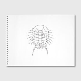 Альбом для рисования с принтом трилобит агрессивный в Екатеринбурге, 100% бумага
 | матовая бумага, плотность 200 мг. | агрессия | доисторические животные | жуткие животные | насекомые | палеонтология | трилобиты