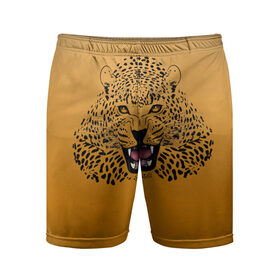 Мужские шорты спортивные с принтом Леопард в Екатеринбурге,  |  | big cat | cat | leopard | кот | кошка | леопард