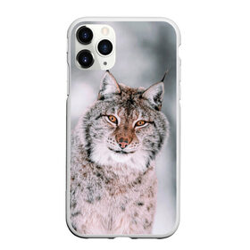 Чехол для iPhone 11 Pro Max матовый с принтом Рысь в Екатеринбурге, Силикон |  | cat | животные | звири | кис | киска | кот | котейка | котик | коты | котяра | кошка | кошки | природа | рысь