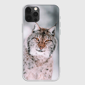 Чехол для iPhone 12 Pro Max с принтом Рысь в Екатеринбурге, Силикон |  | cat | животные | звири | кис | киска | кот | котейка | котик | коты | котяра | кошка | кошки | природа | рысь