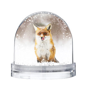 Снежный шар с принтом Лиса в Екатеринбурге, Пластик | Изображение внутри шара печатается на глянцевой фотобумаге с двух сторон | animal | fox | foxy | snow | winter | животное | животные | звери | зверь | зима | лиса | лисица | мороз | рыжая | снег | снежинка