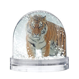 Снежный шар с принтом Тигр в Екатеринбурге, Пластик | Изображение внутри шара печатается на глянцевой фотобумаге с двух сторон | животное | животные | звери | зверь | зима | кот | кошка | природа | снег | тигр | тигра | тигры | хищник | хищники